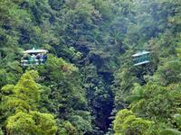 Dominica, Seilbahn aus Lianen