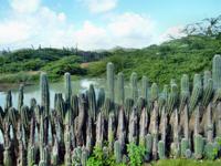 Bonaire, Naturzaun