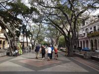 Spaziergang auf dem Prado