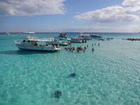 Ausflug zu den Stachelrochen