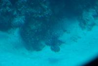 Ausflug mit dem U-Boot 