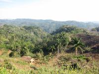 Wanderung um Topes de Collantes