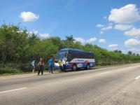 Auf dem Weg nach Santa Clara - Buschstopp