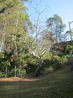 Wanderung um Topes de Collantes