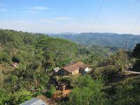 Wanderung um Topes de Collantes