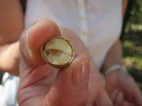 Wanderung zum Salto el Caburni