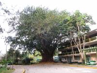 im Hotel in Topes de Collantes