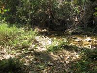 Wanderung im Naturpark El Cubano