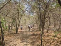Wanderung im Naturpark El Cubano