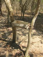 natürlicher Papierkorb im Naturpark El Cubano