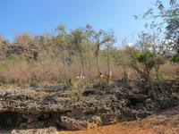 Ausflug hoch zu Roß