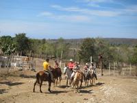 Ausflug hoch zu Roß
