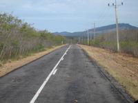 das traurige Schicksal der Krebse in Kuba