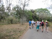 im Bontanischen Garten in Cienfuegos