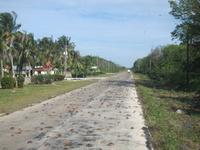 Wiedersehen mit den Krebsen - eine schwierige Situation für den Fahrer