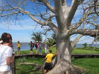 auf der Schatzinsel Zapata