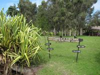 auf der Schatzinsel Zapata