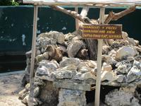 auf der Krokodilfarm am Schatzsee