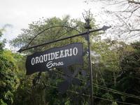 im Orchideengarten in Soroa