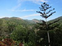 im Orchideengarten in Soroa