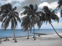 am Strand von Maria la Gorda