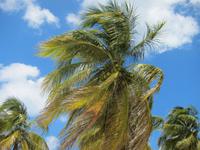 am Strand von Maria la Gorda