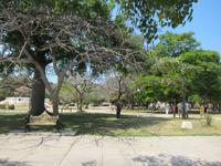 Oldtimer-Rundfahrt in Havanna