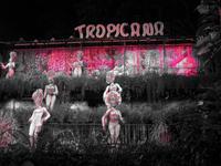 Show Tropicana in Havanna