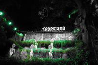 Show Tropicana in Havanna