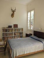 Ausflug auf den Spuren von Hemingway - Finca La Vigia