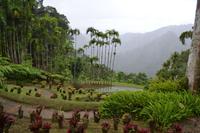 Balata Garten (1)
