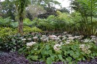 Balata Garten (8)