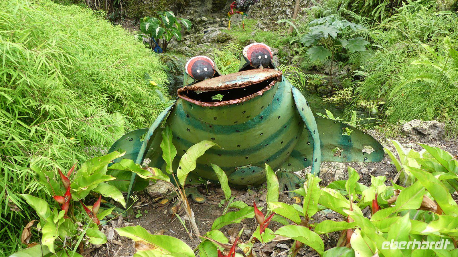 Barbados Pflanzen