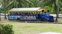 Bus Dom. Rep.