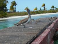 Cayo Largo