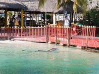 Cayo Largo