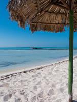 Cayo Rico