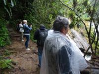 Im Regen in der Escambray