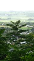 Inselrundfhart Barbados