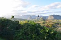 Karstlandschaft in der Provinz Pinar del Rio