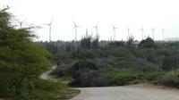 Landschaft Bonaire (2)