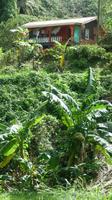 Leben auf Grenada (2)