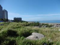 Miramar Havanna