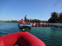 Pier von Cayo Largo - Kuba