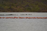 Salzsee Curacao (1)