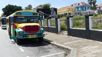 Sightseeing im offenen Safaribus