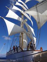 Star Flyer