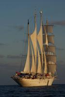 Star Flyer