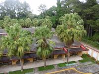 Topes de Collantes