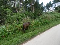 Topes de Collantes